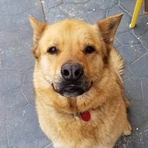 Meet your Posher, Blair